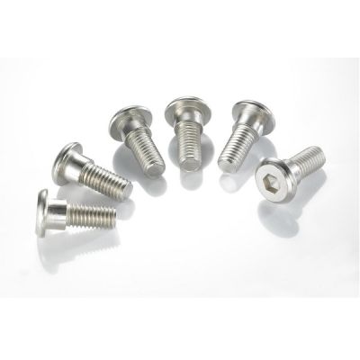 TRW REMSCHIJF BOUTEN SET PER 6ST